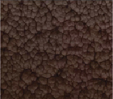 Rastsvet_Hammer_Brown
