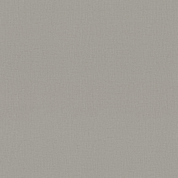 Обои виниловые на флизелиновой основе Base 10,05*1,06 м (7302-02) коричневый / Euro Decor