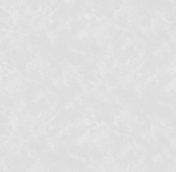 Обои виниловые на флизелиновой основе Victoria Stenova 1,06*10м Akira Штукатурка светло-серая 585971